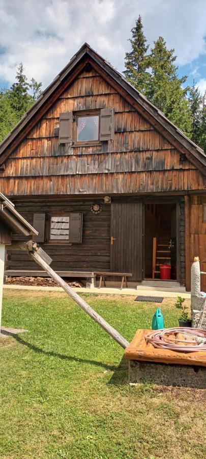 Planinska Hisica Pod Macesni - Bohinj Villa Srednja Vas v Bohinju ภายนอก รูปภาพ
