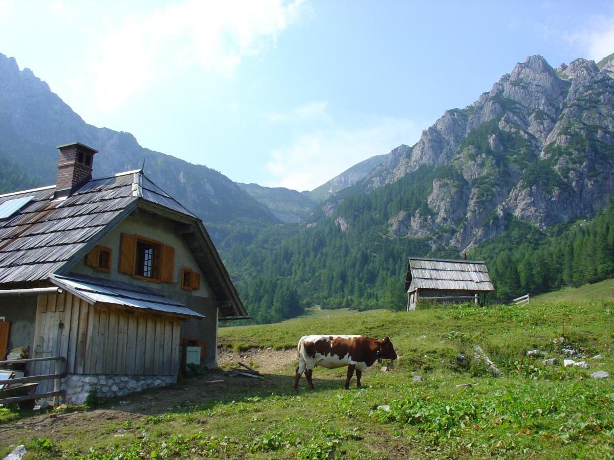 Planinska Hisica Pod Macesni - Bohinj Villa Srednja Vas v Bohinju ภายนอก รูปภาพ